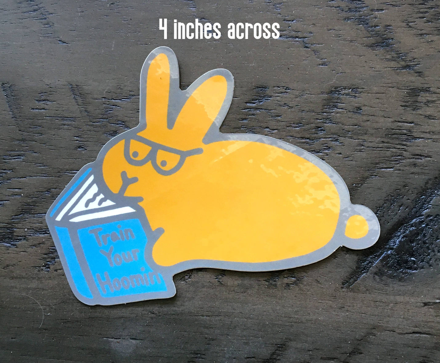 Train Your Hoomin | Waterproof Sticker