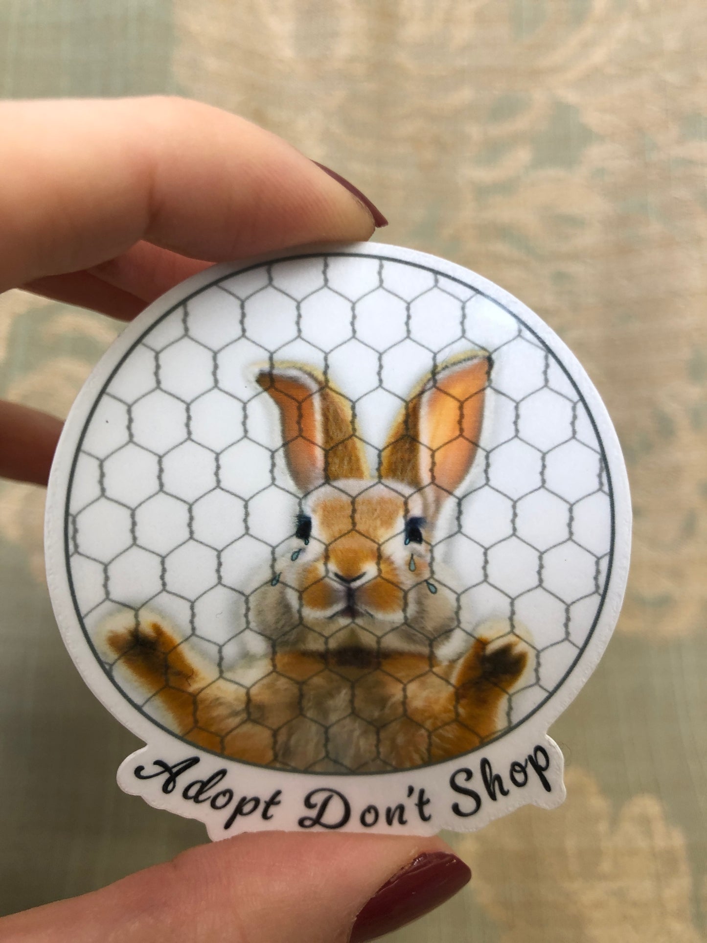 Crying Caged Bun | Stickers