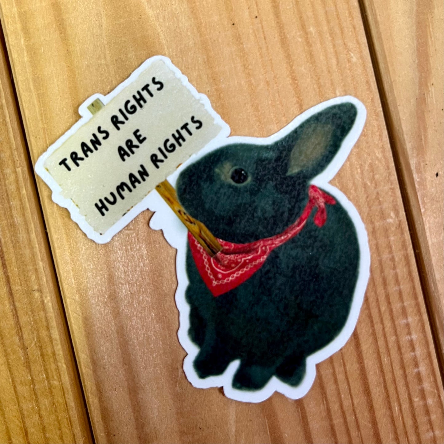 LGBTQ+ Protester Bunny | Sticker