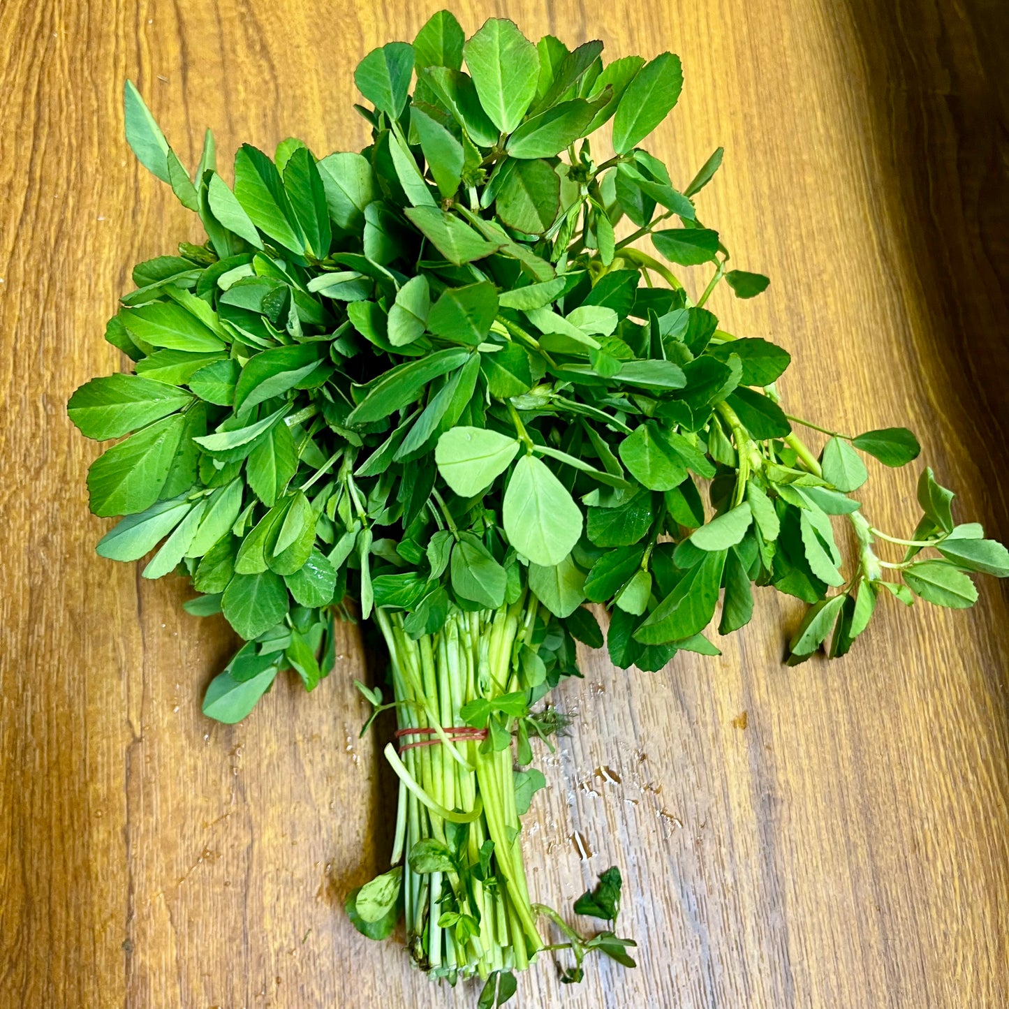 Fresh Herbs | Pre-order | Instore Collection Only