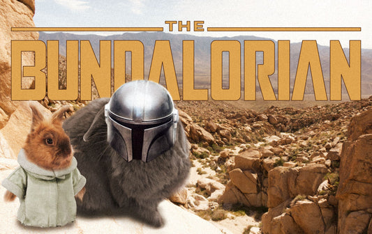 Bundalorian Artprint - Star Wars Parody