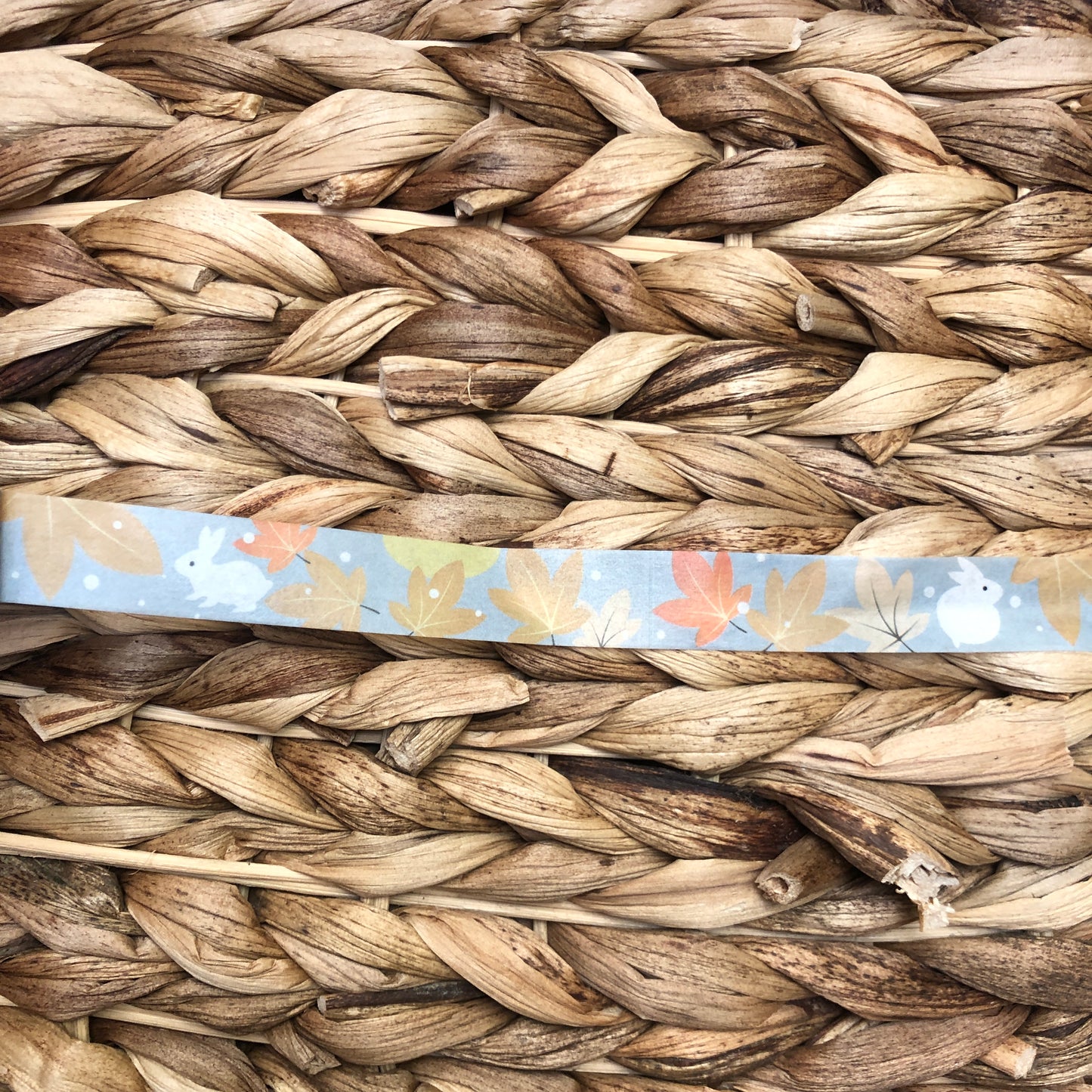 Autumn Rabbit Decorative Washi Tape
