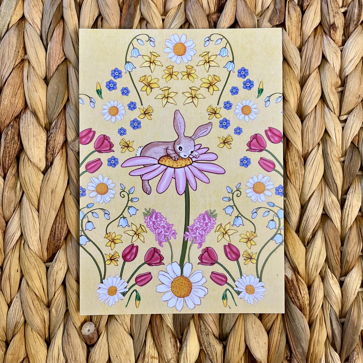 Daisy Yellow | Postcard and Artprint