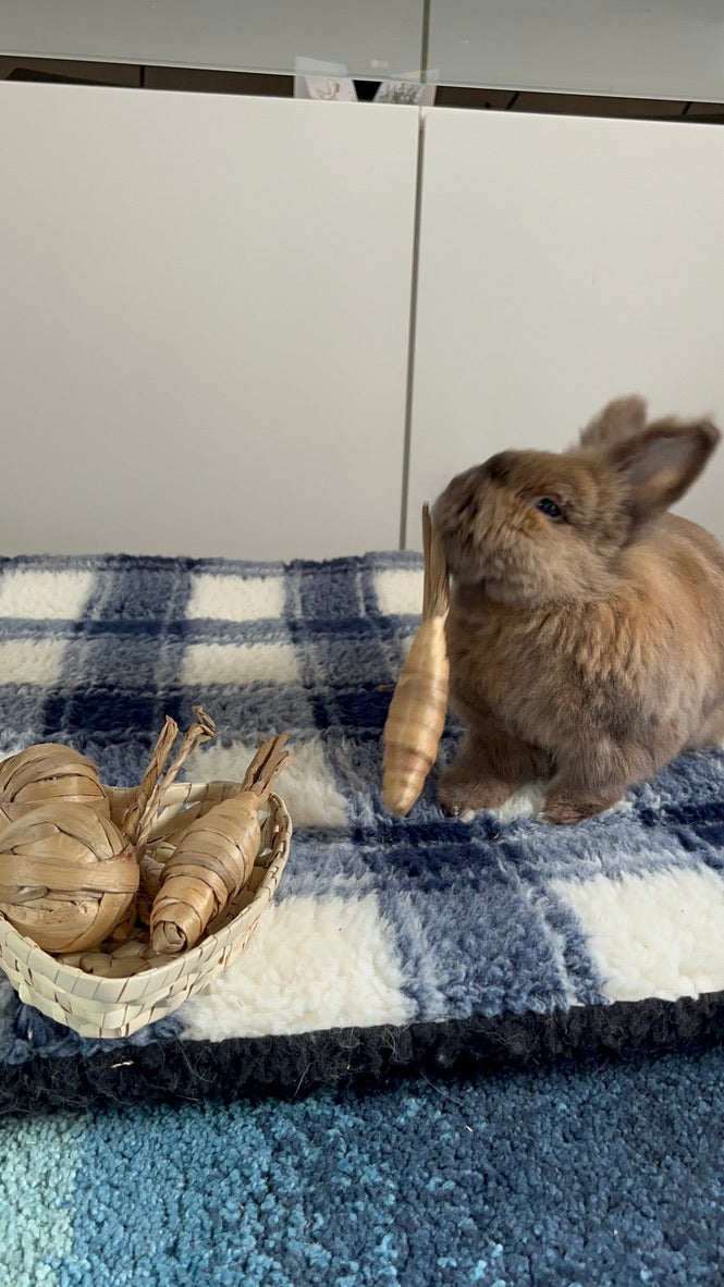 A brown rabbit sits on a blue and white plaid blanket, eating a wooden chew. A small woven basket containing more wooden chews rests on the blanket to the left.