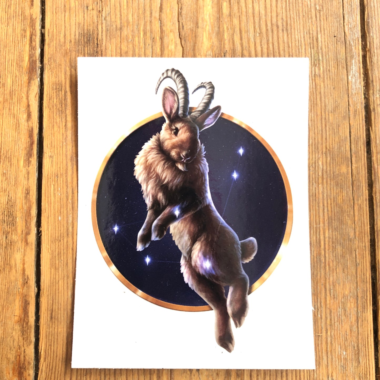 Zodiac Vinyl Sticker