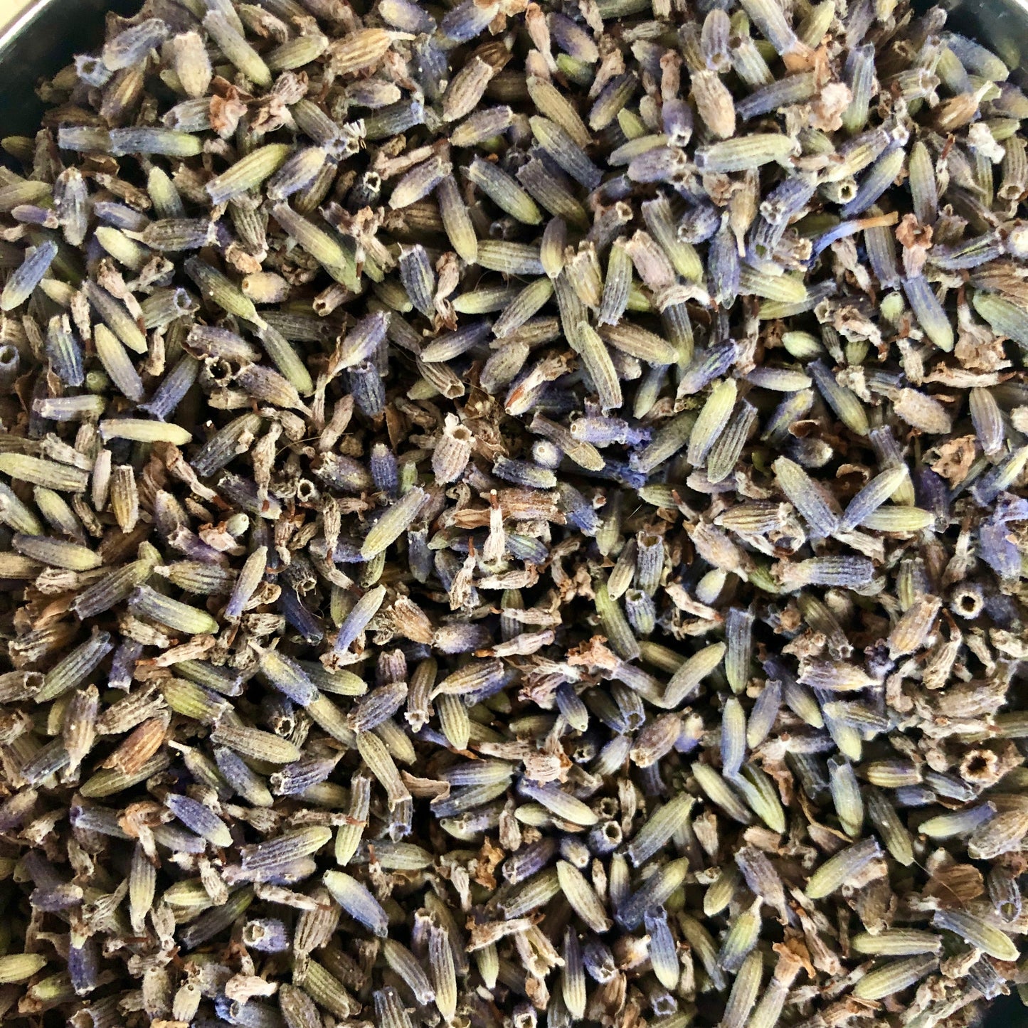 Dried Lavender Flowers