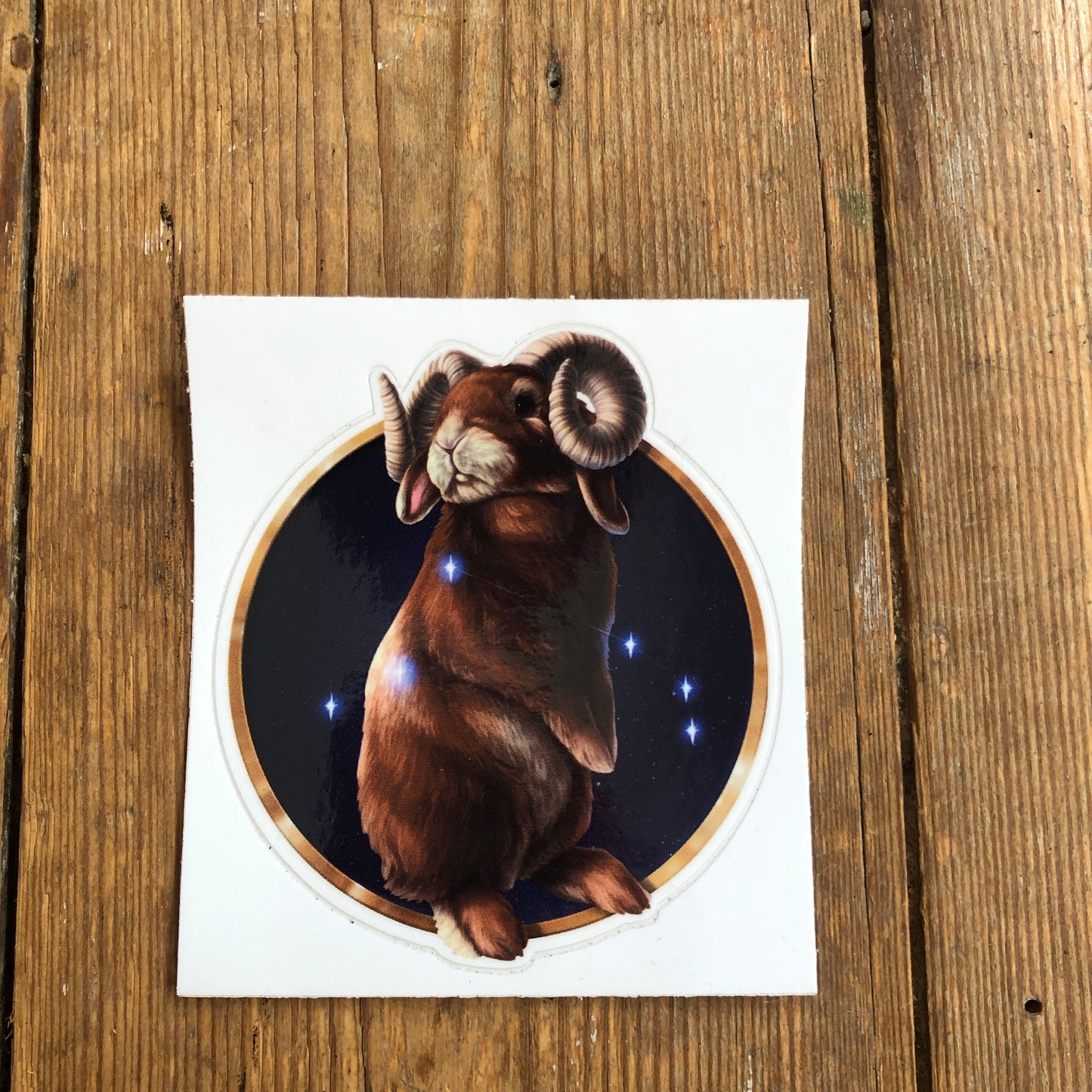 Zodiac Rabbit Signs | Vinyl Sticker