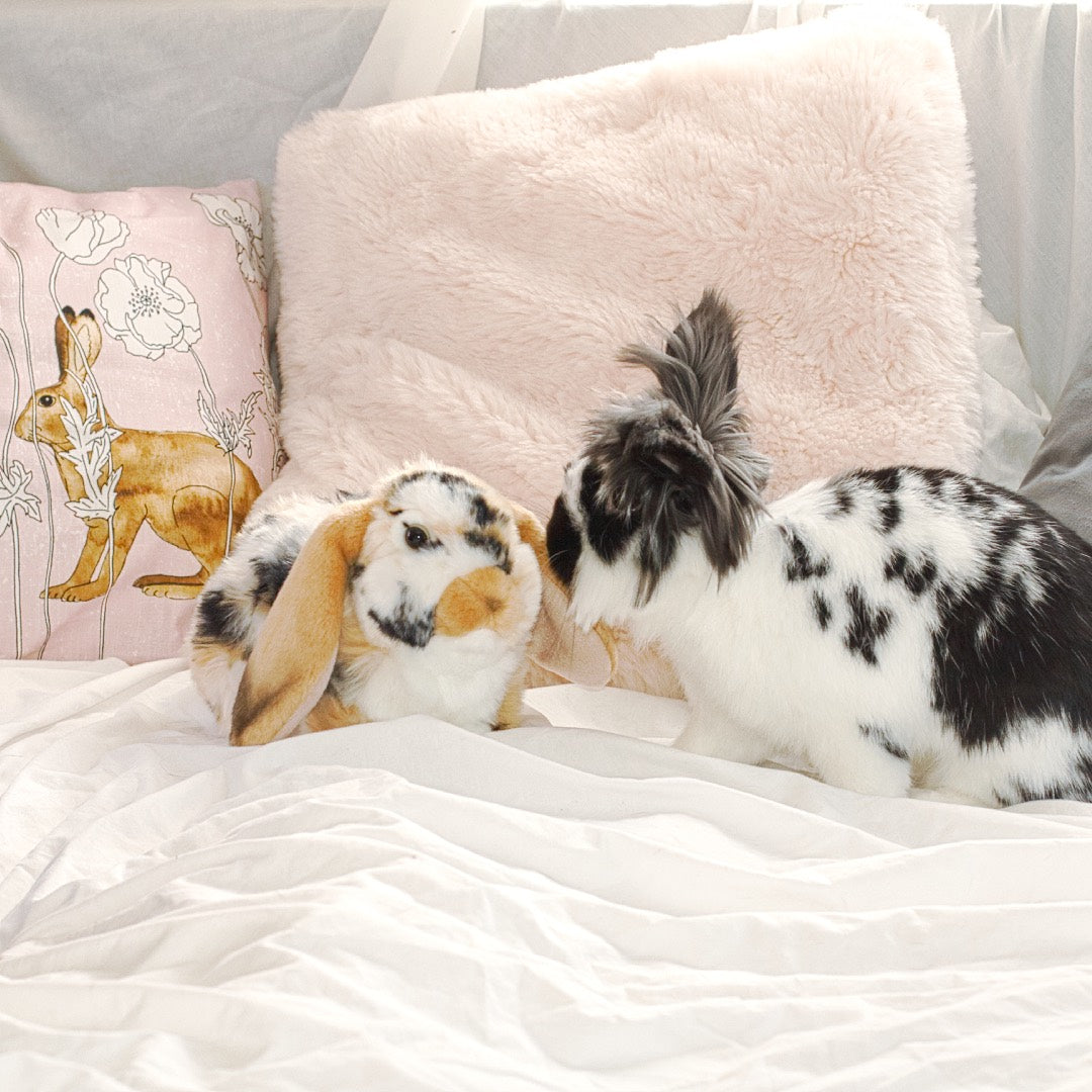 Marble Lop Rabbit Plush | Grey or Brown