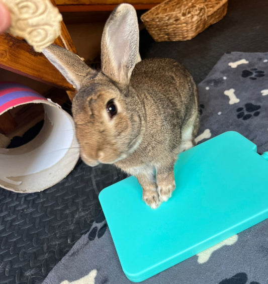 Snugglesafe Cool Pod