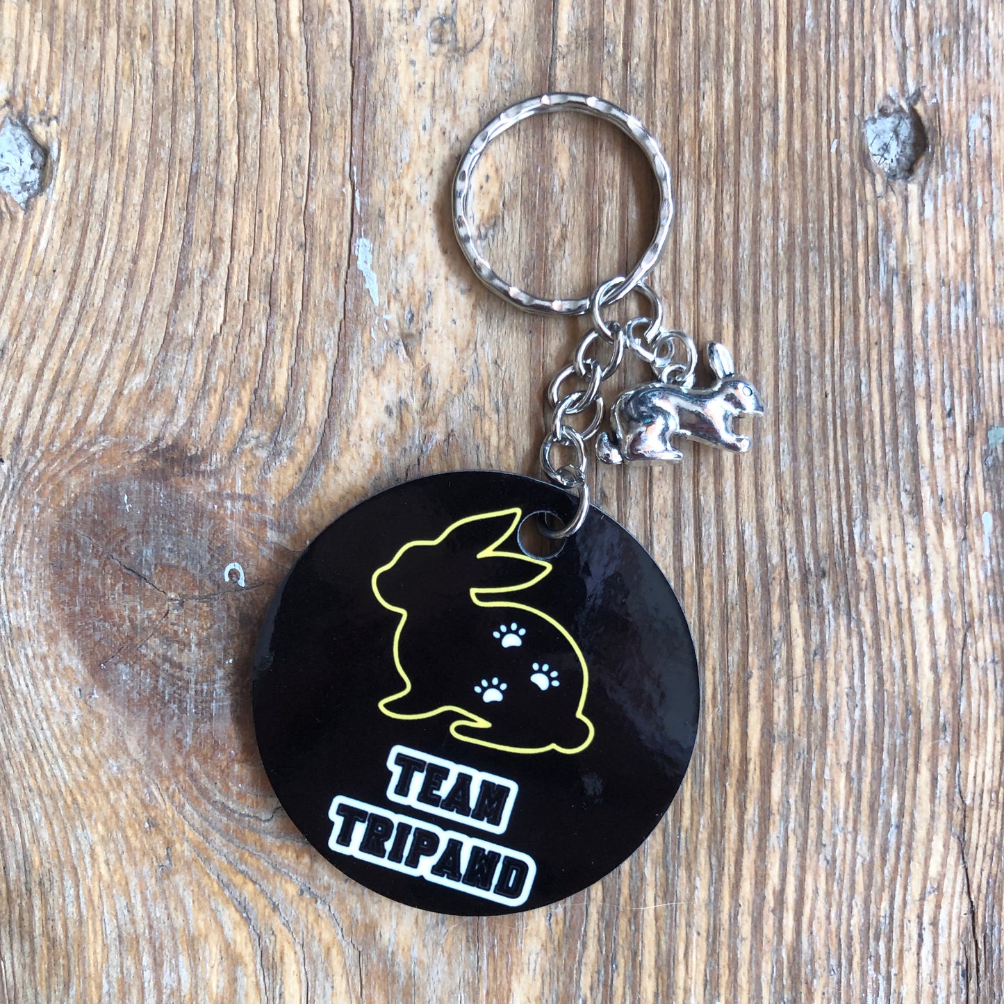 Team Tripawd Keyrings