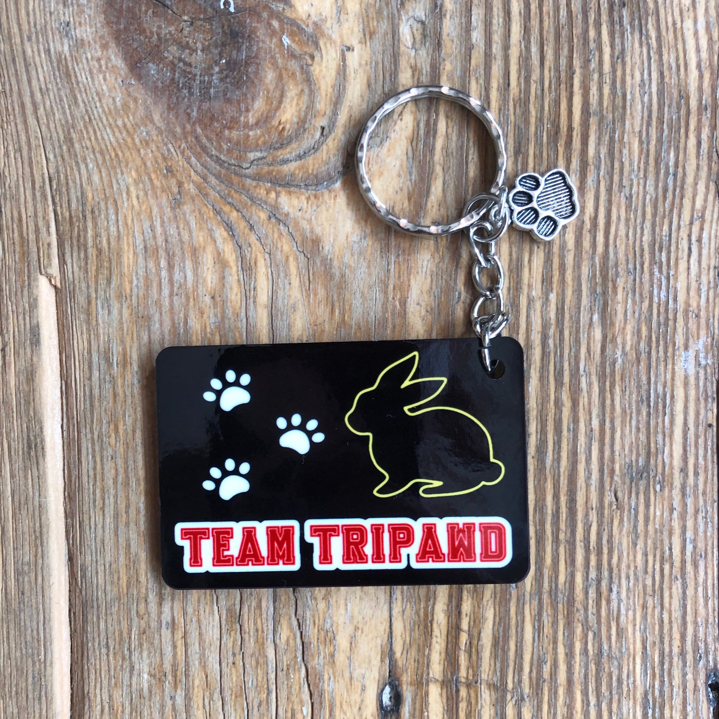 Team Tripawd Keyrings