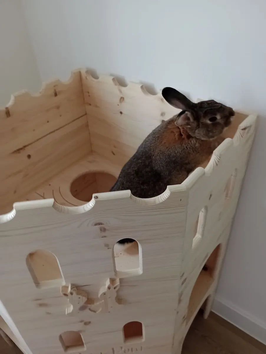 Pine Bunny Corner Castle | One, Two, three Story