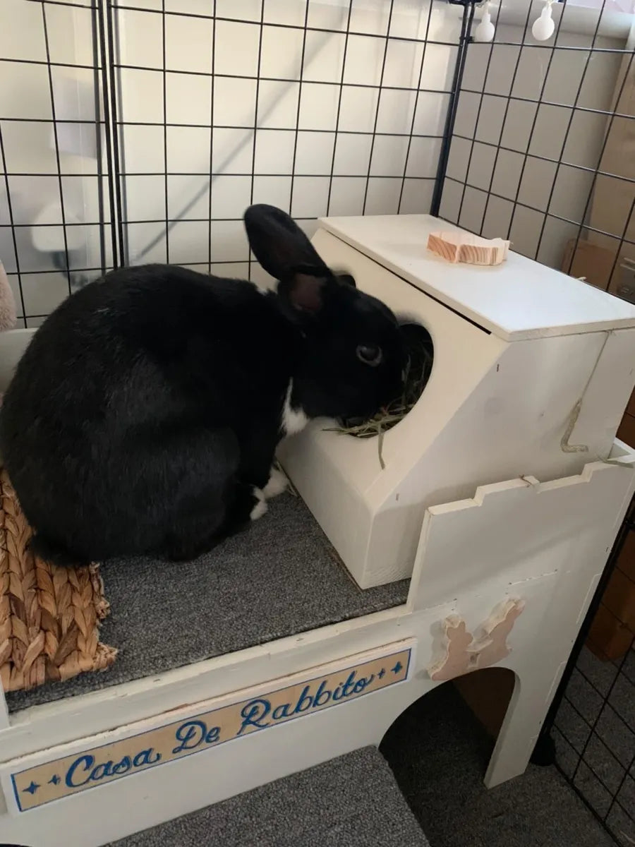 Pine Bunny Hay Feeder | One, Two or Four Holes