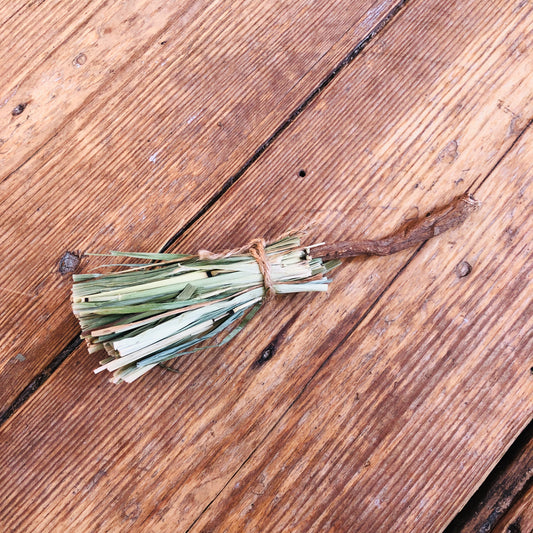 Edible Broomstick Toys