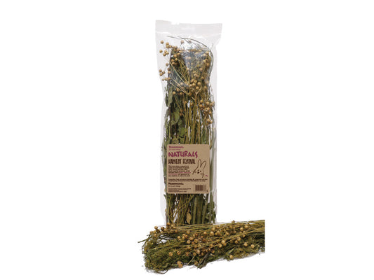 Harvest Festival | 80g