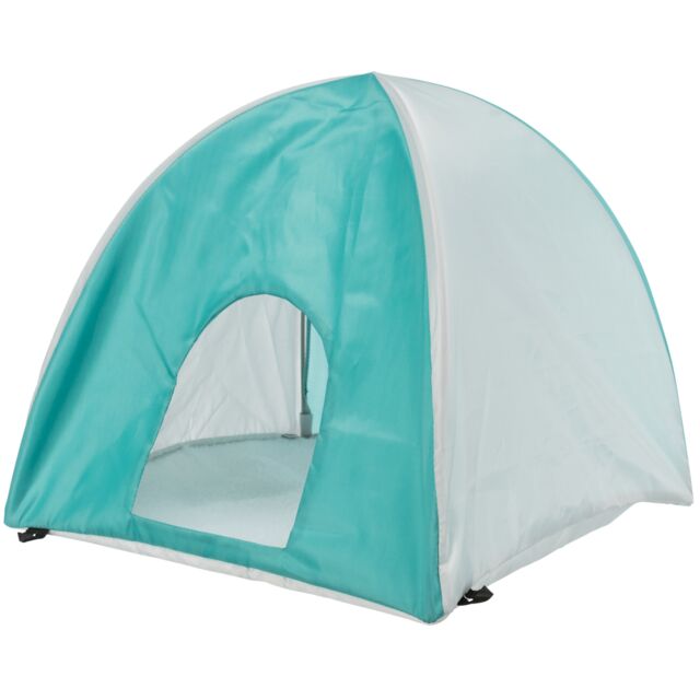 Tent with Pegs