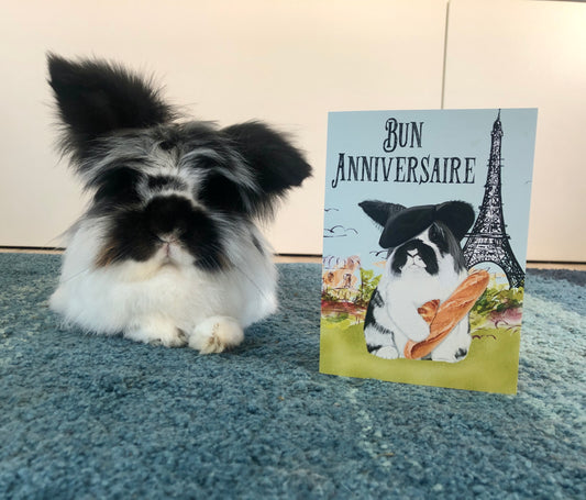 Bun Anniversaire | Birthday Card