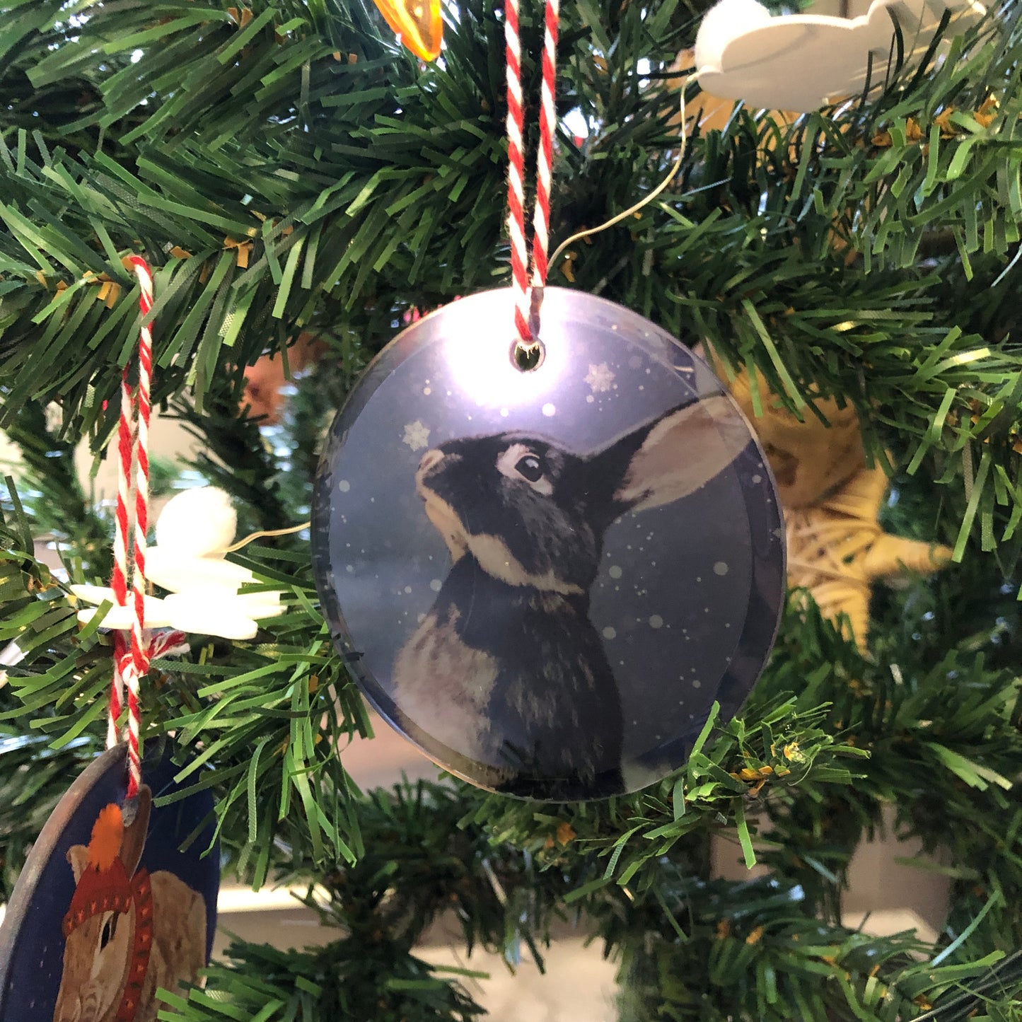 A Snowflake Kiss | Glass Tree Decoration