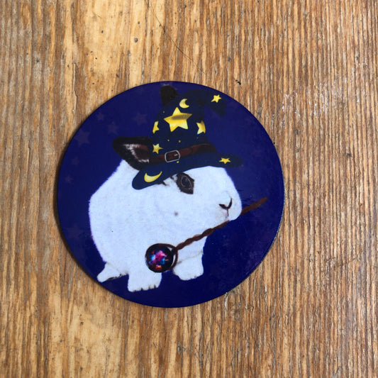 Wizard Rabbit Magnet