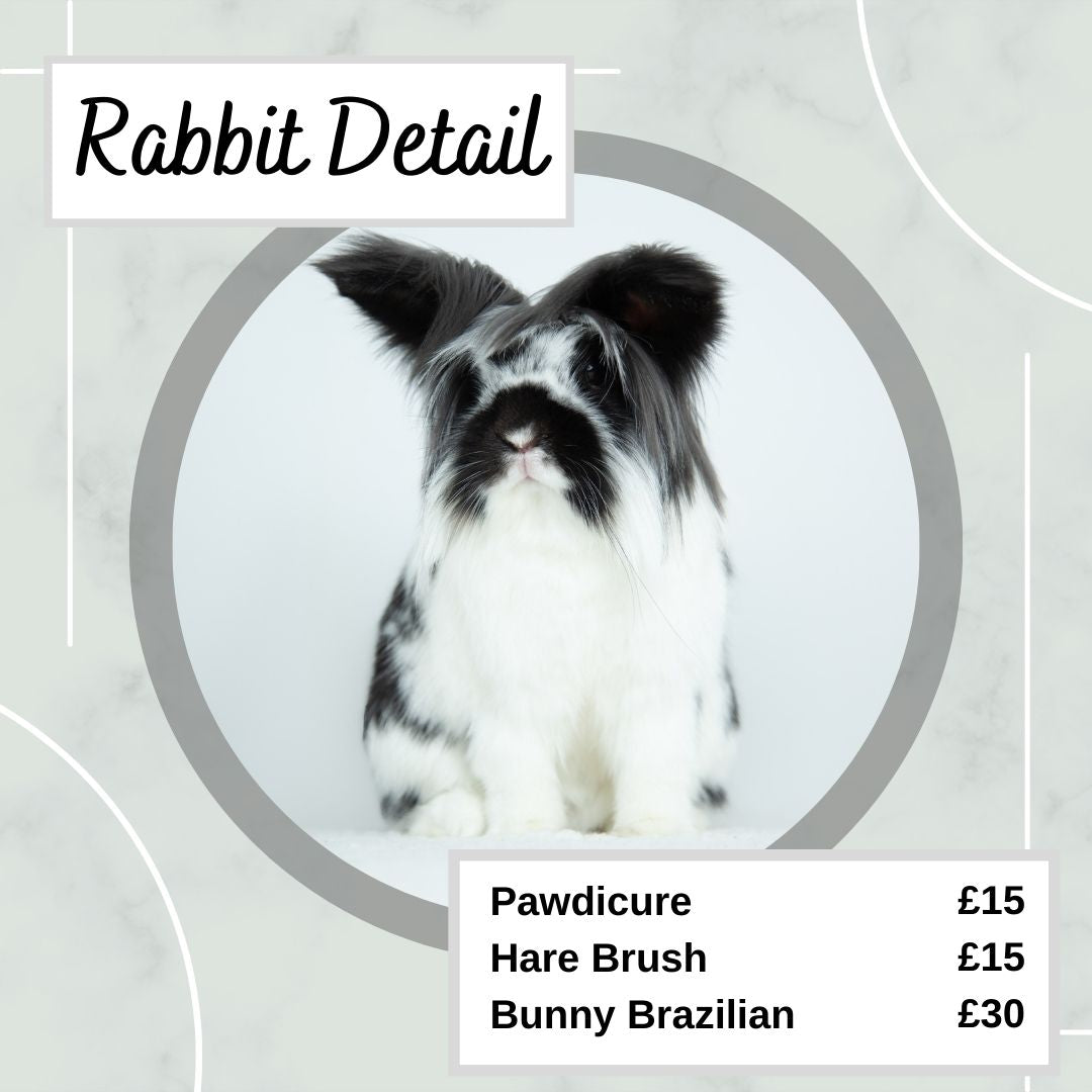 Rabbit Detail