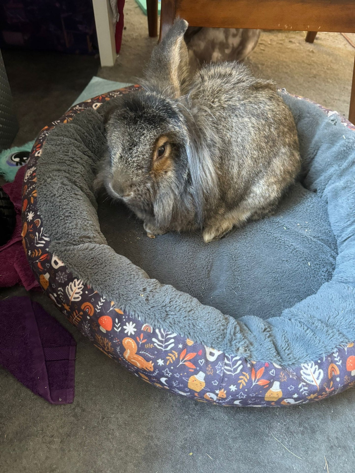 Halloween Themed Bed | Limited Edition