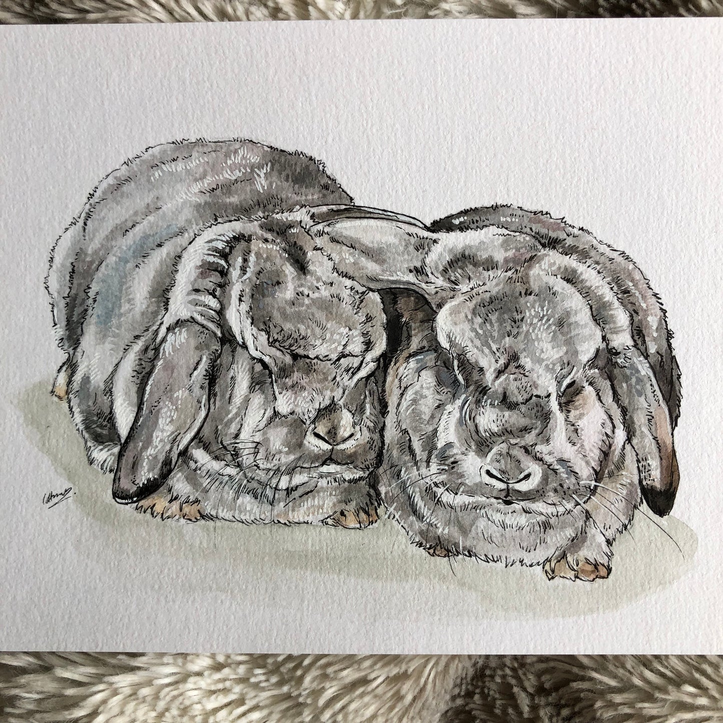 Custom Pet Portraits