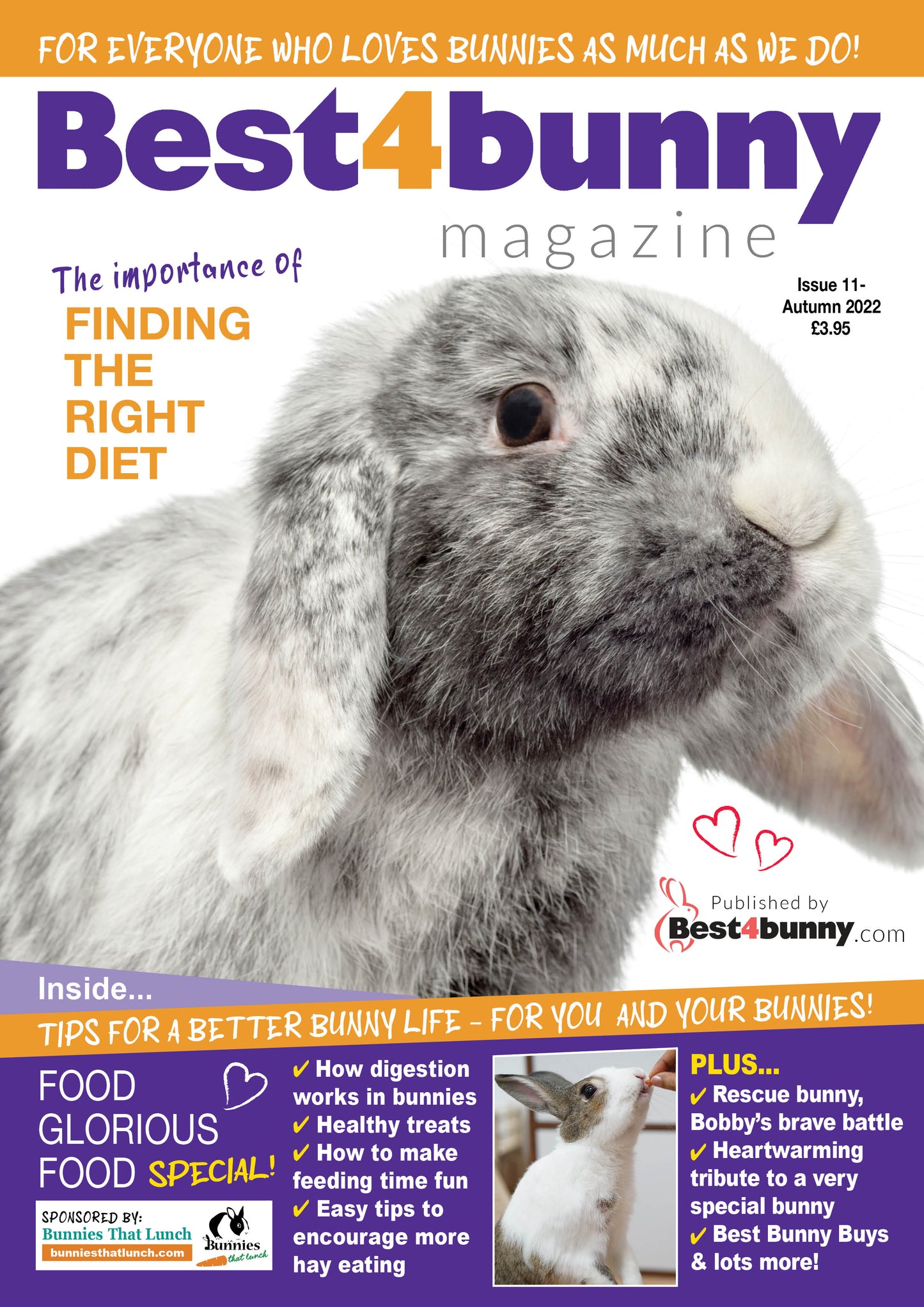 best 4 bunny magazine issue 11 autumn 2022. The cover shows a grey and white lop eared rabbit and a top article titles 'the importance of finding the right diet'. Inside includes tips for a better bunny life for you and your bunnies.