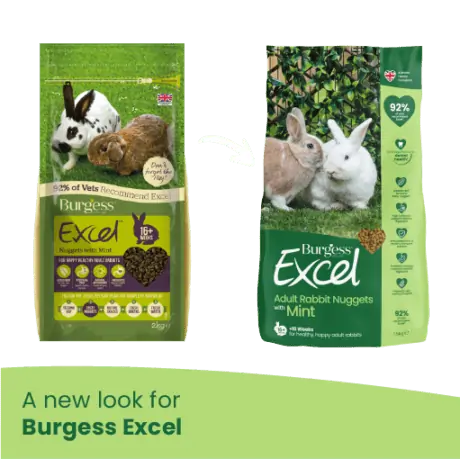 A new look for burgess excel. an image of the previous packaging with a white arrow pointing to the new packaging as described in the first image.
