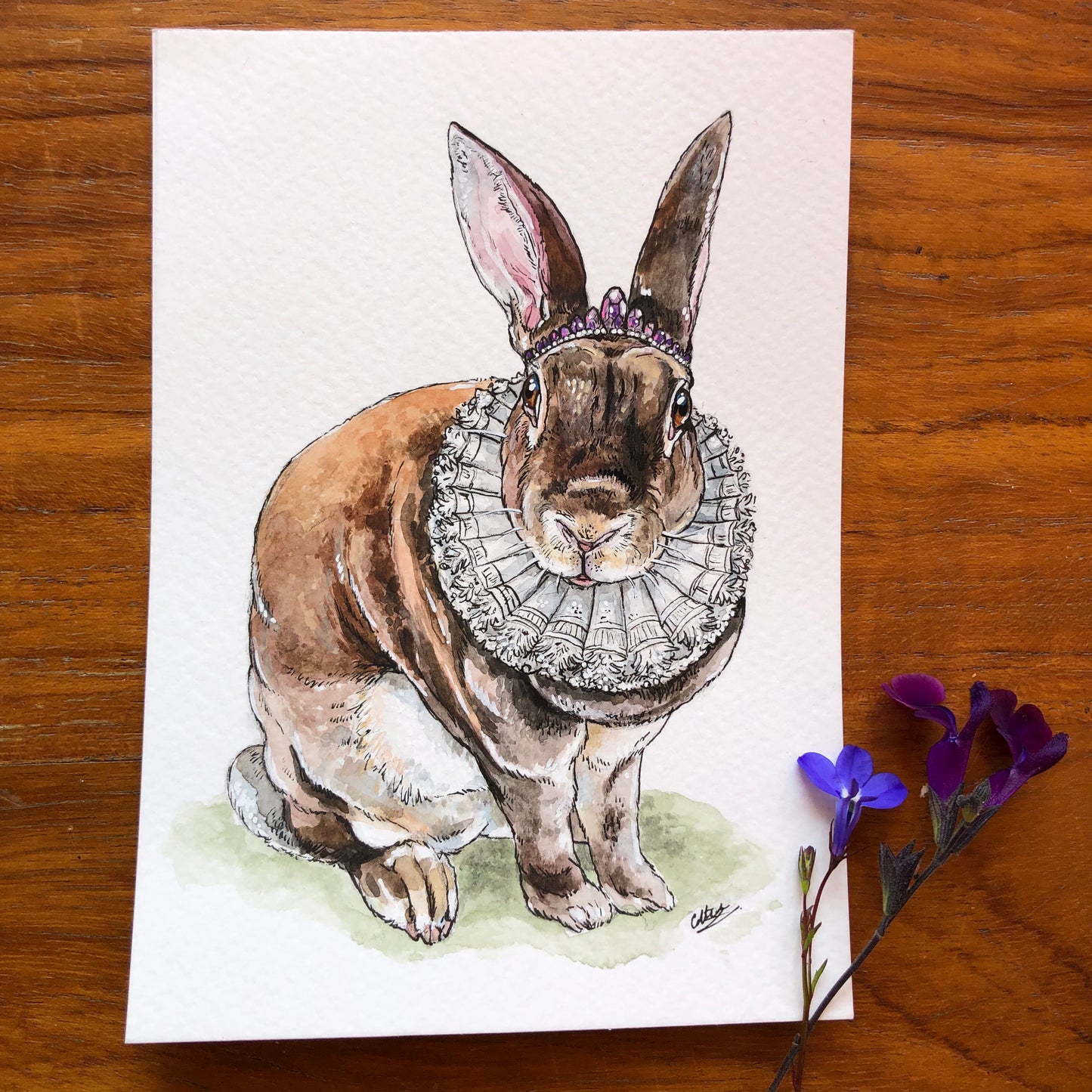 Custom Pet Portraits