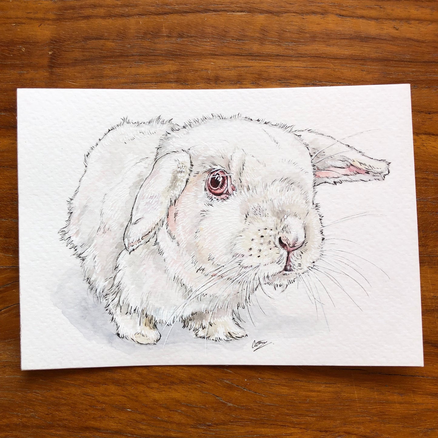 Custom Pet Portraits