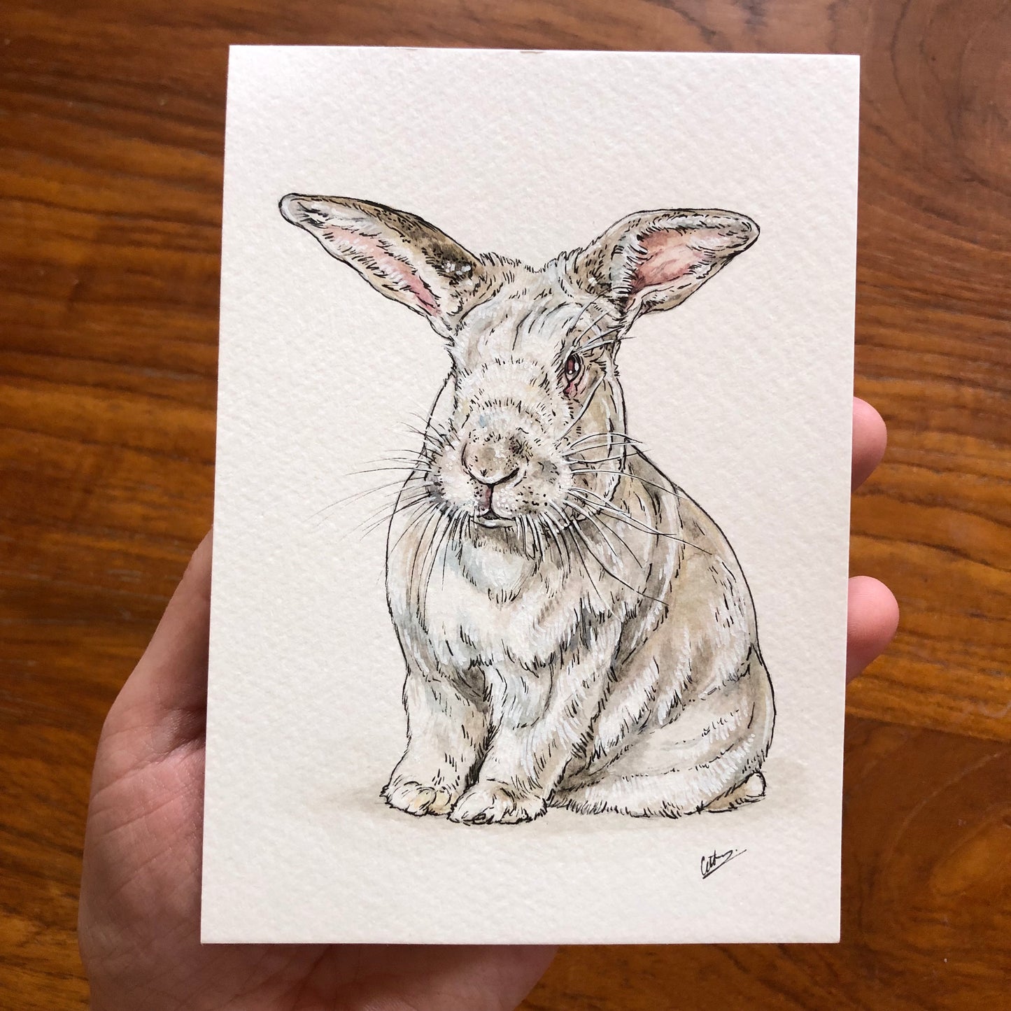 Custom Pet Portraits