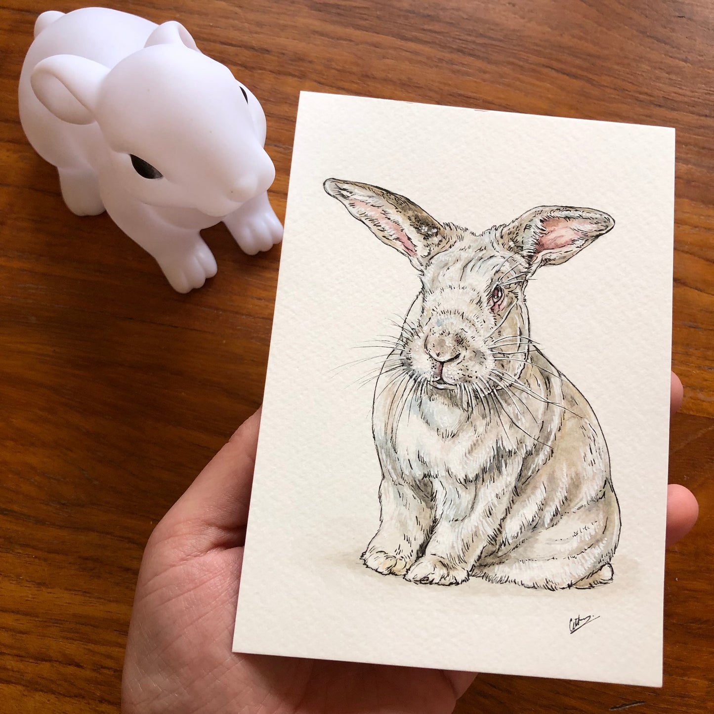 Custom Pet Portraits
