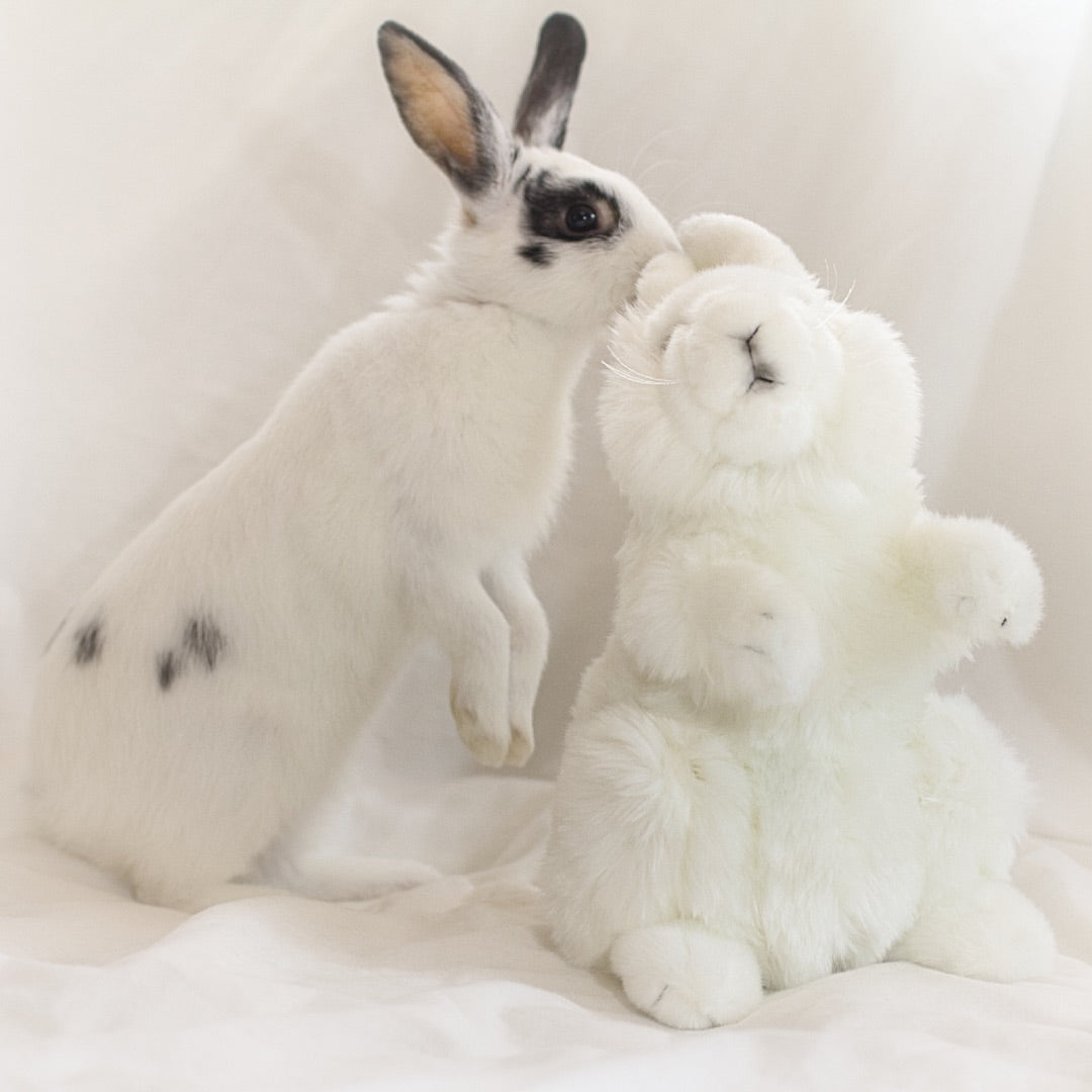 Arctic Hare Plush
