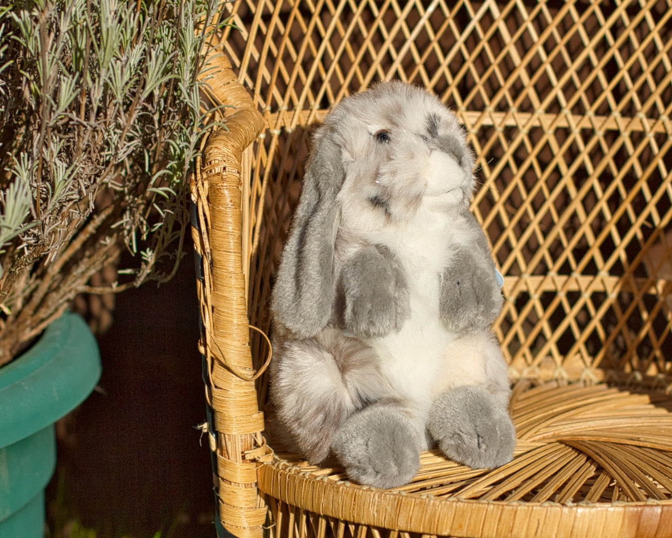 Sitting Lop Eared Rabbit Plush