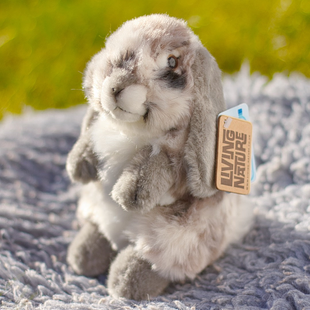 Sitting Lop Eared Rabbit Plush