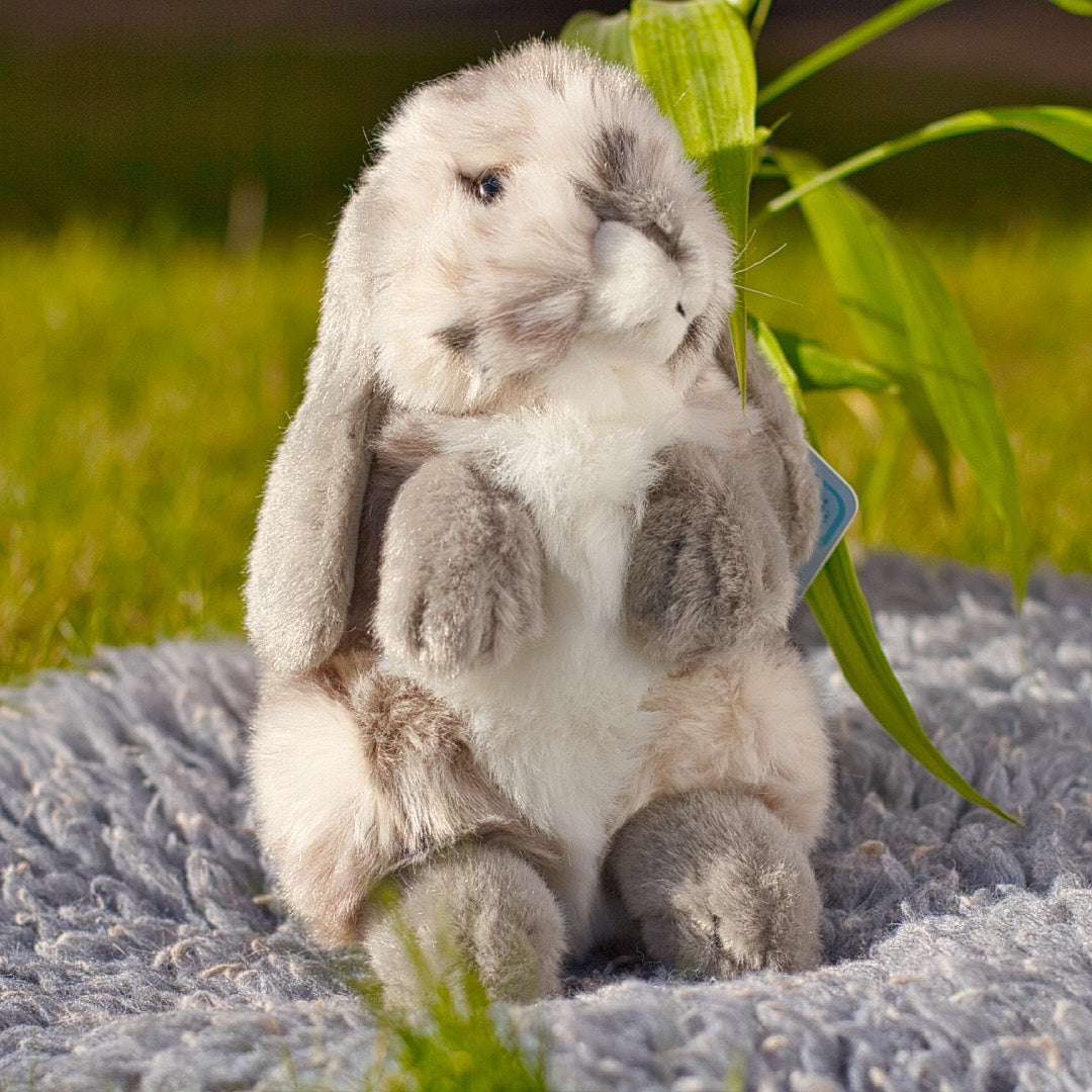 Sitting Lop Eared Rabbit Plush