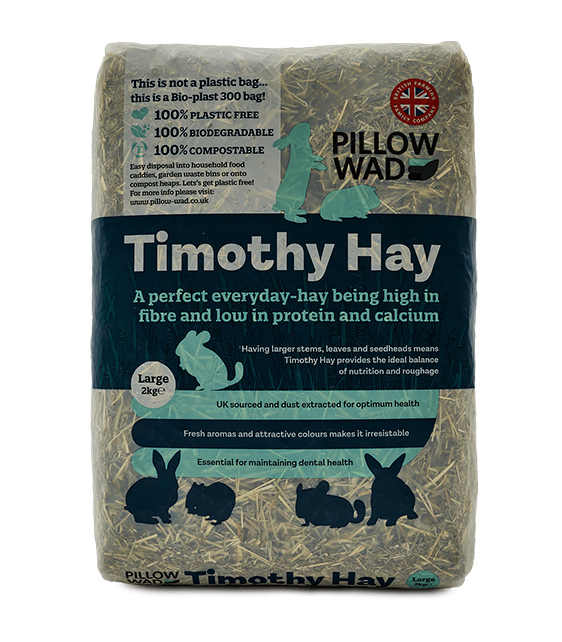 Timothy Hay