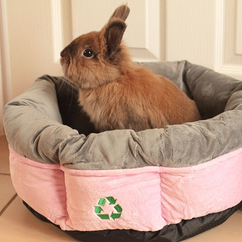 Brownie, an adorable brown lion head bunny looks out of his recycled pink and grey pet bed.