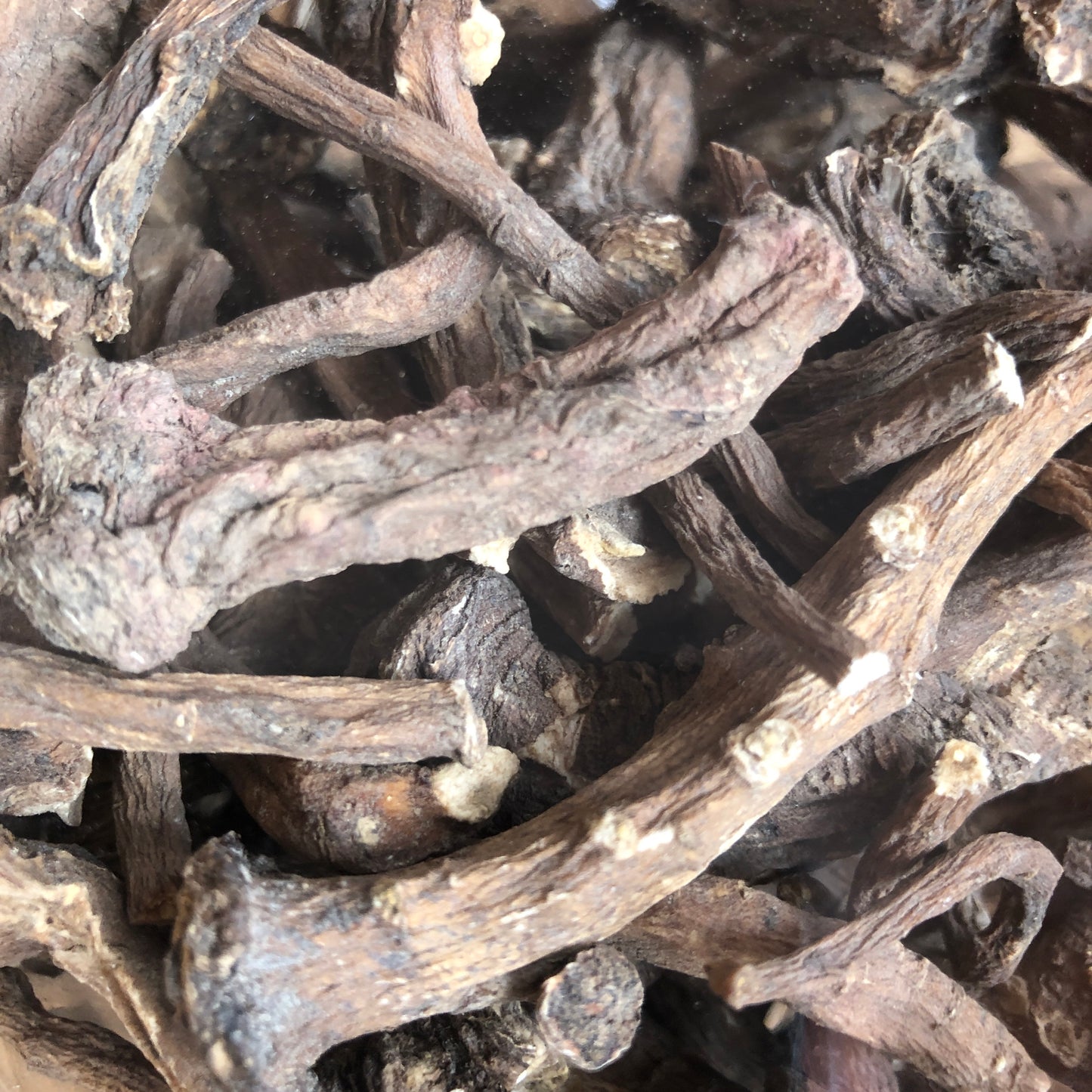 Dried Dandelion Root