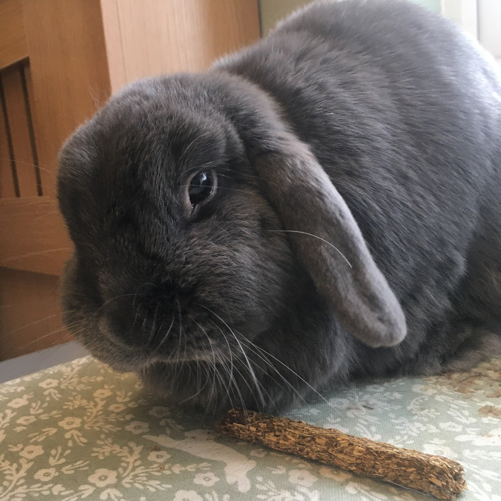 Selective Naturals FibaFirst