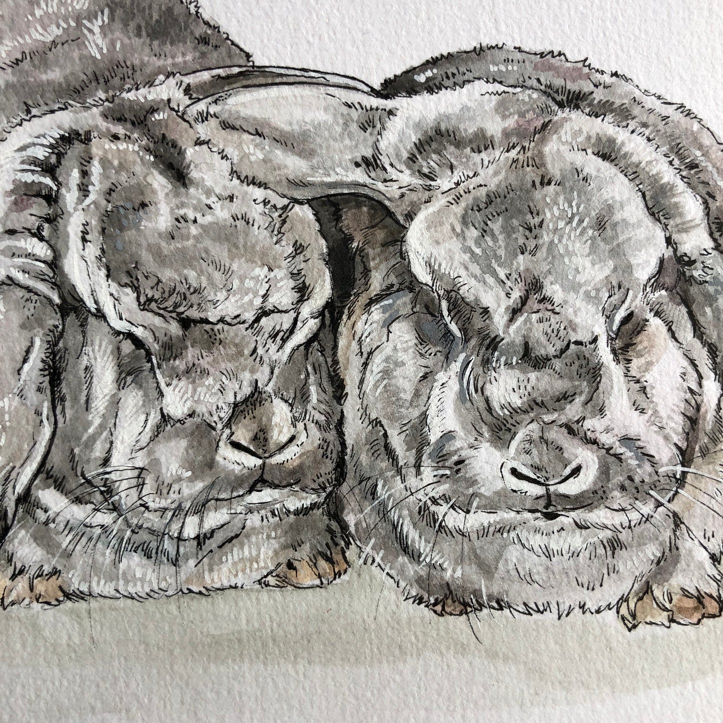 Custom Pet Portraits