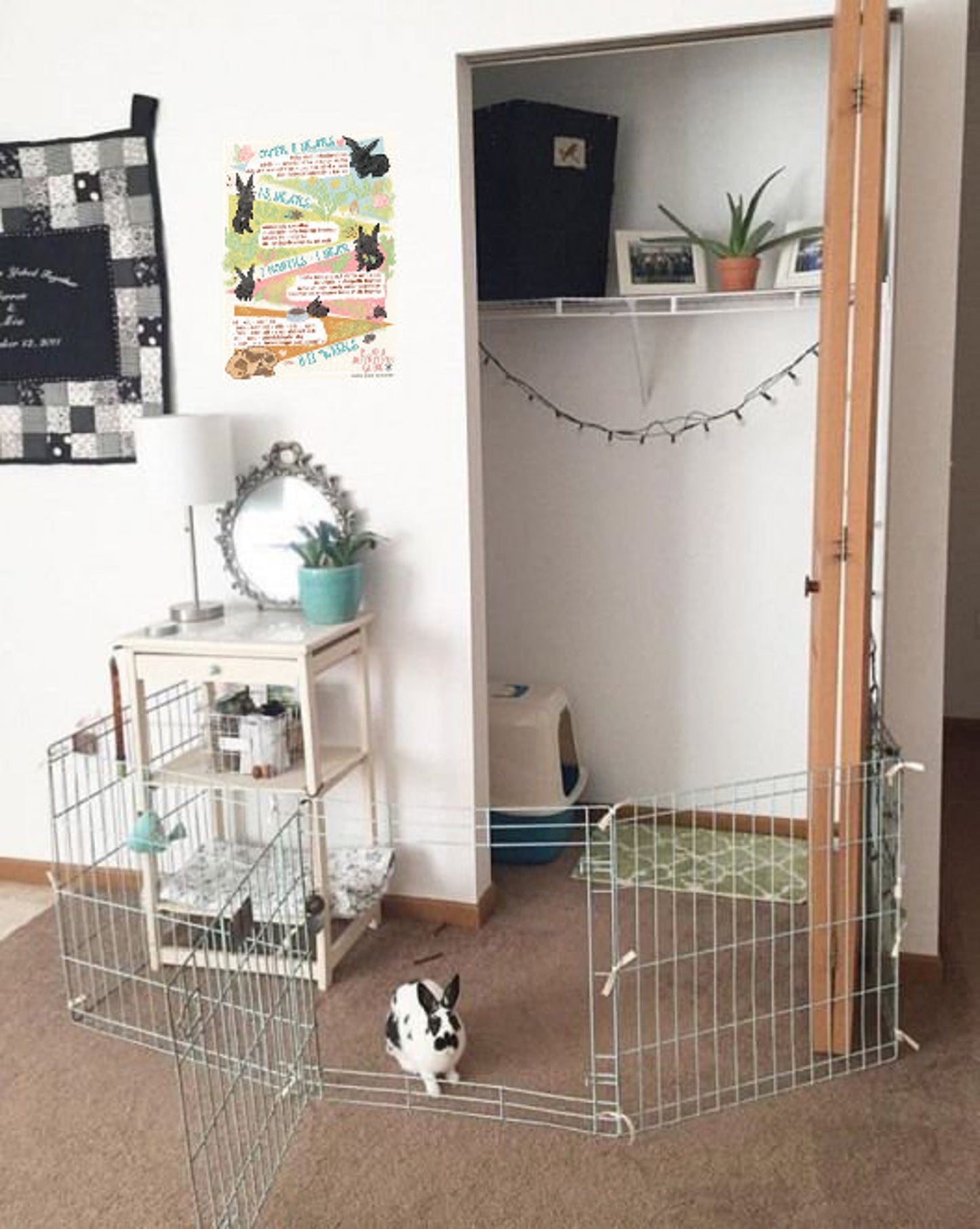 Downloadable Bunny Nutrition Guide - by Tina Schofield