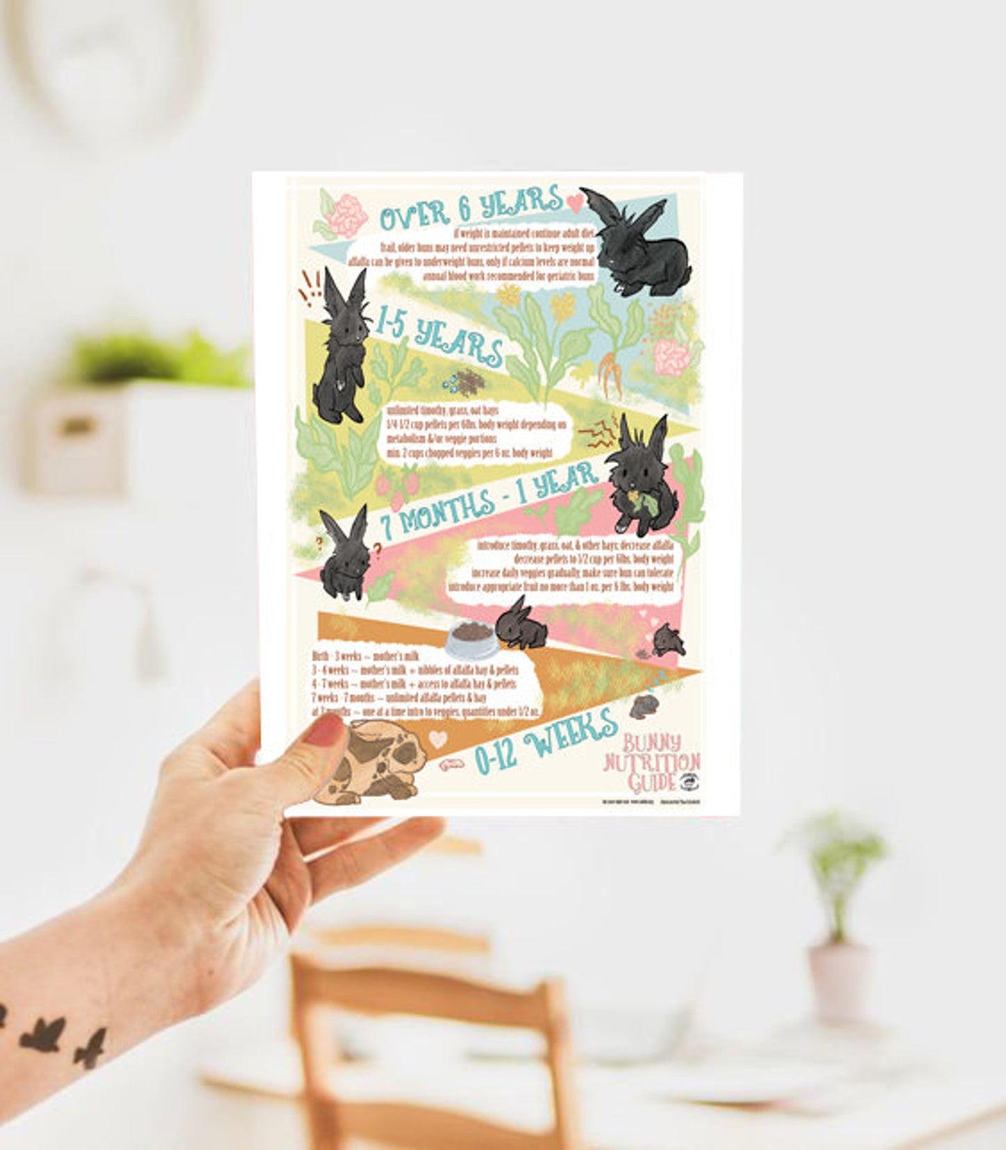 Downloadable Bunny Nutrition Guide - by Tina Schofield