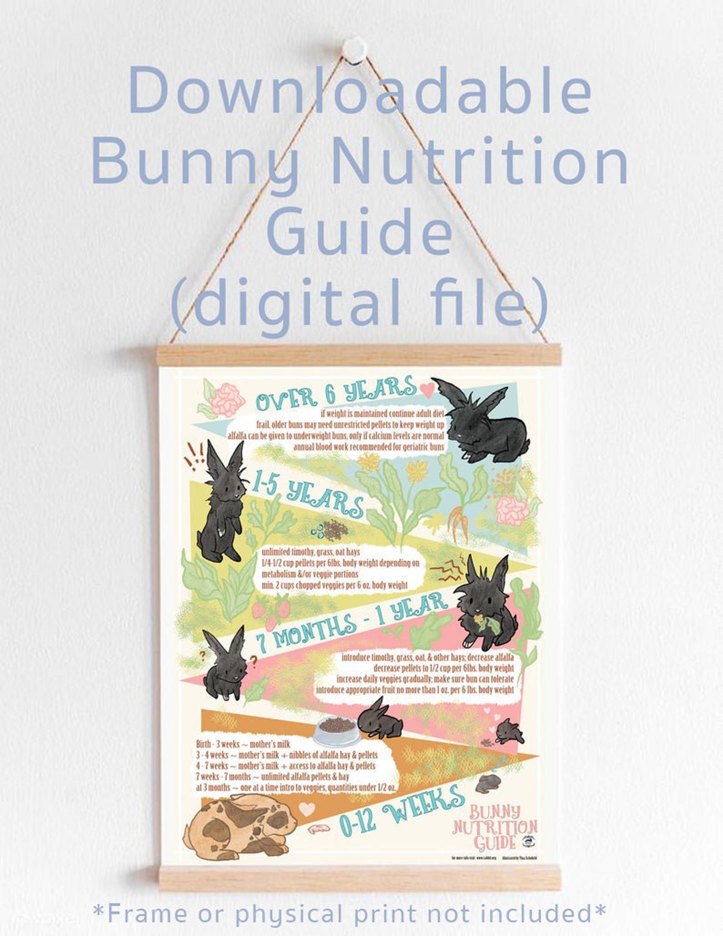 Downloadable Bunny Nutrition Guide - by Tina Schofield
