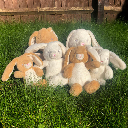 Baby Bunny Plush Toy