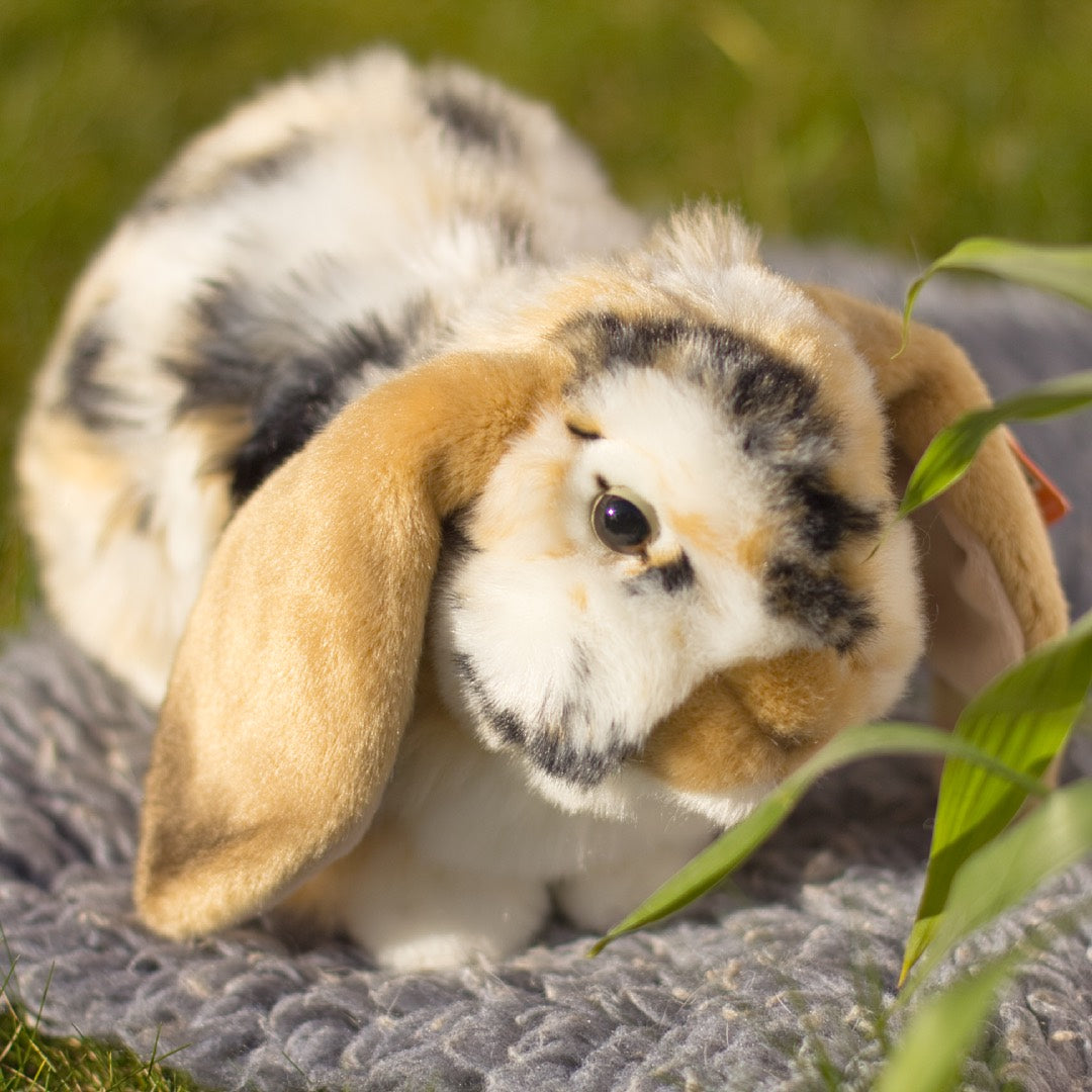 Marble Lop Rabbit Plush | Grey or Brown