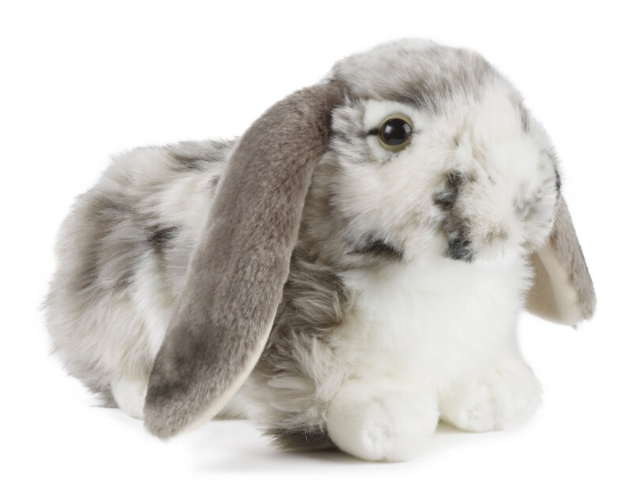 Marble Lop Rabbit Plush | Grey or Brown