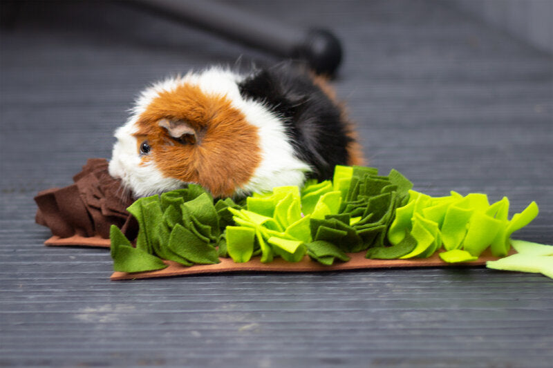 Rosewood Xmas Tree Snuffle Forage Mat