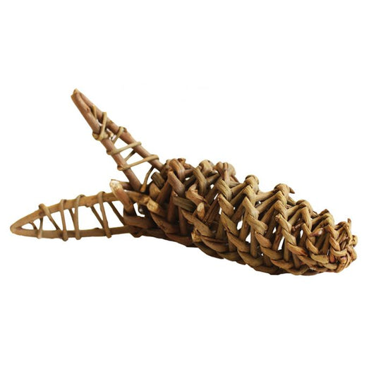 Willow Carrot Chew Toy