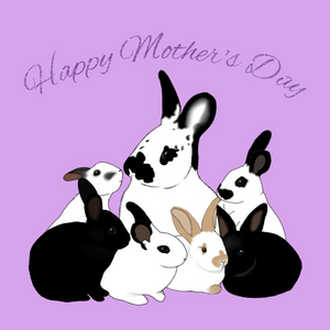 Rabbit Retail's Mother's Day Gift Guide